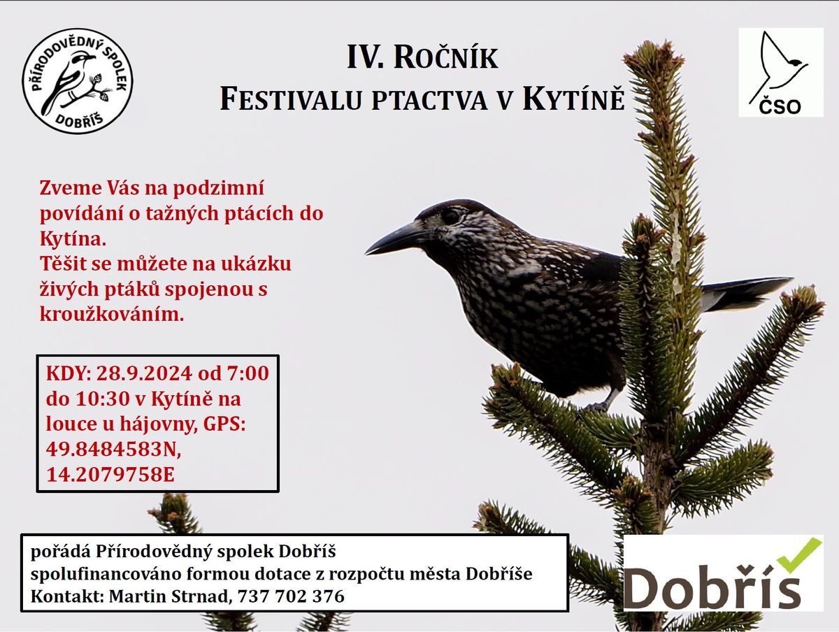 FESTIVAL PTACTVA - KYT\u00cdN