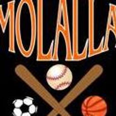 Molalla Youth Sports