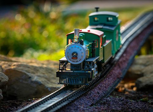 Model Trains & Insect Adventure