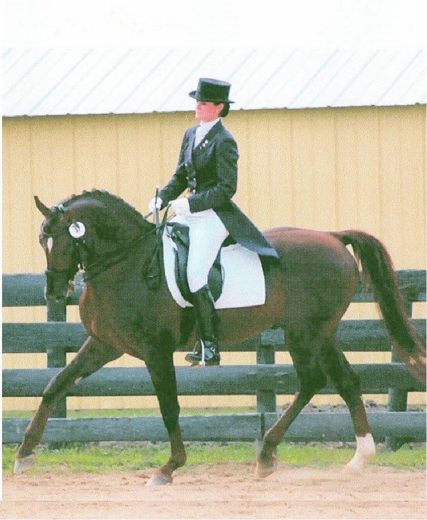 Classical Principles for Every Horse and Every Rider