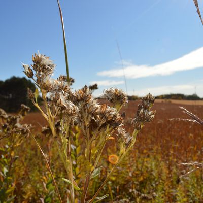 Sally Manzara Interpretive Nature Center