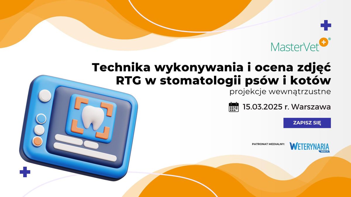 Technika wykonywania i ocena zdje\u0107 RTG w stomatologii ps\u00f3w i kot\u00f3w - projekcje wewn\u0105trzustne