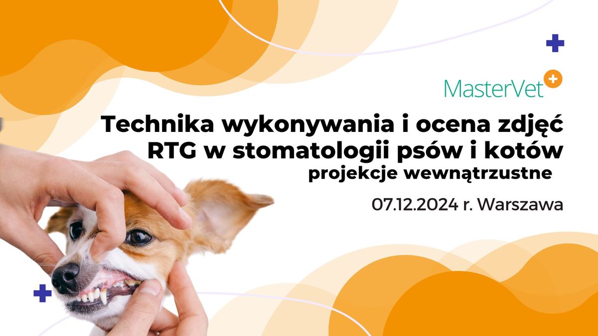 Technika wykonywania i ocena zdje\u0107 RTG w stomatologii ps\u00f3w i kot\u00f3w - projekcje wewn\u0105trzustne