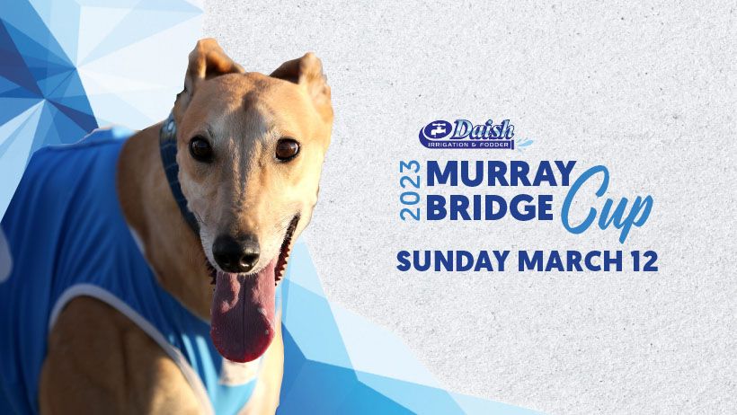 2023 Murray Bridge Cup