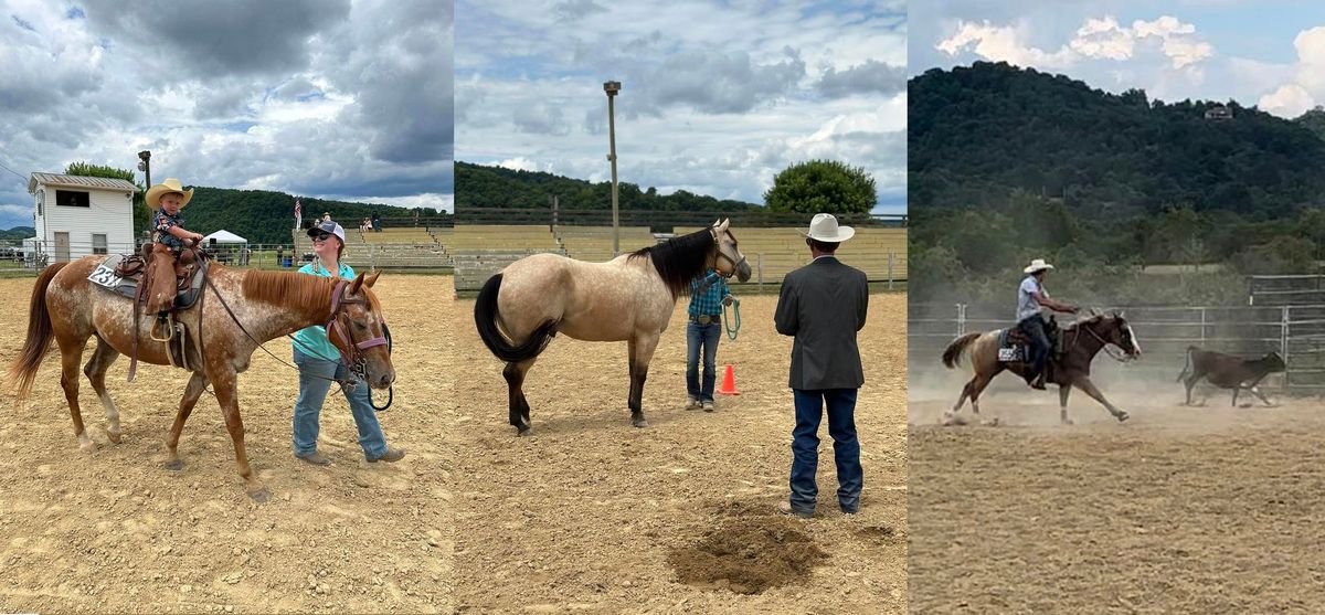 Appalachian Saddle Club Ranch Horse Open Show