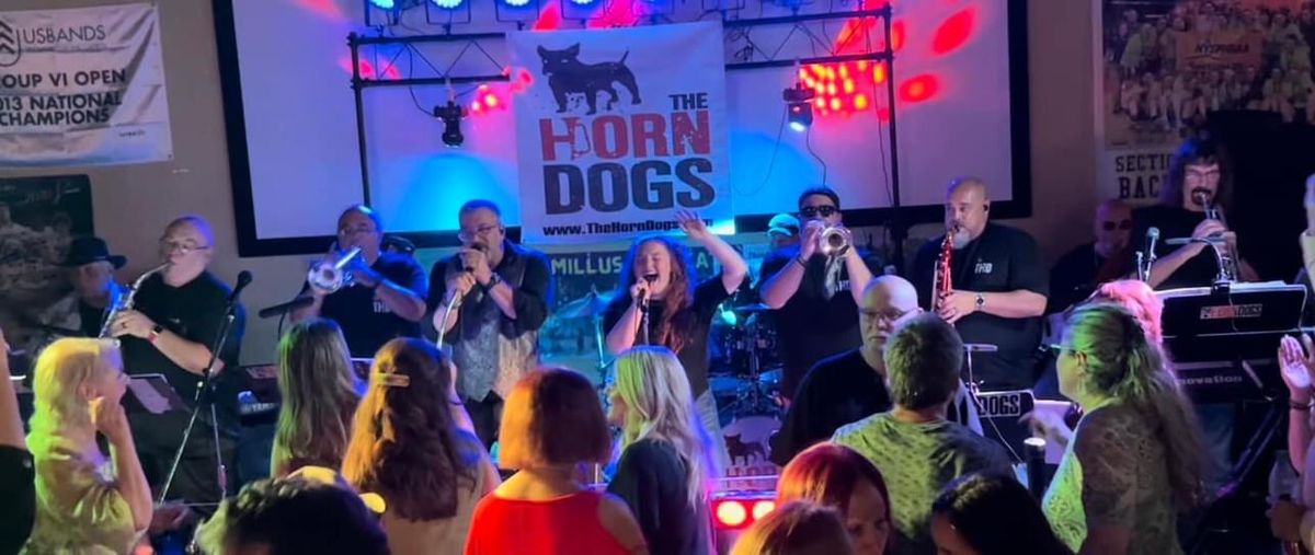 THE HORN DOGS LIVE AT JOHNSON PARK - VILLAGE OF LIVERPOOL \u201cLIVERPOOL IS THE PLACE\u201d CONCERT SERIES