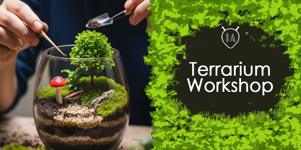 terrarium workshop