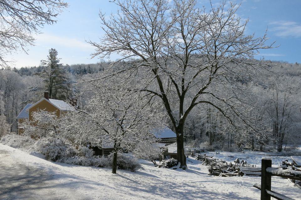 Winter Preschool (Ages 2-6): Animals