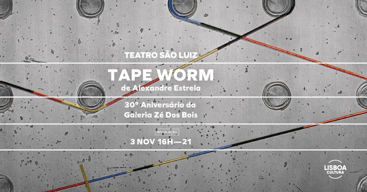 TAPE WORM (SOLIT\u00c1RIA) | 30\u00ba Anivers\u00e1rio da Galeria Z\u00e9 Dos Bois, no Teatro S\u00e3o Luiz