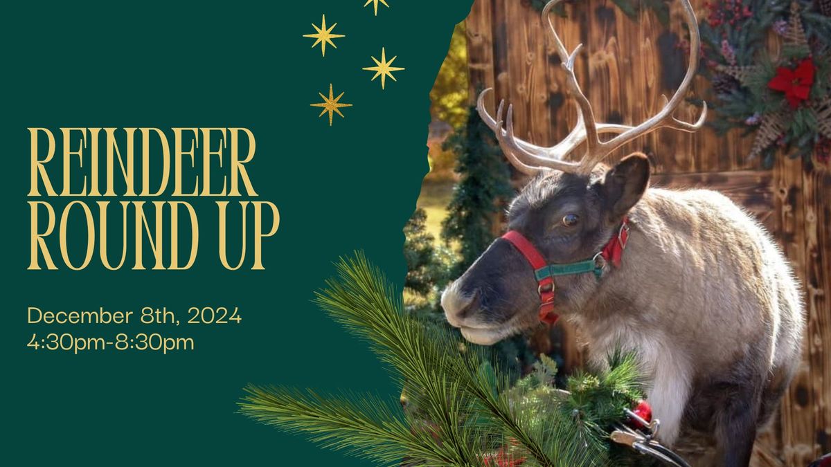 Reindeer Round Up