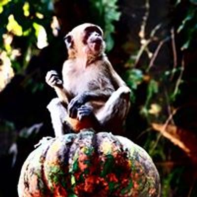 My Amazing Malaysia \u73a9\u75af\u9a6c\u6765\u897f\u4e9a