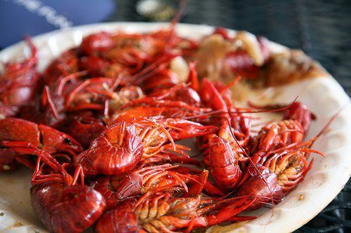 Mardi Gras Crawfish Boil at Crawdads On The River