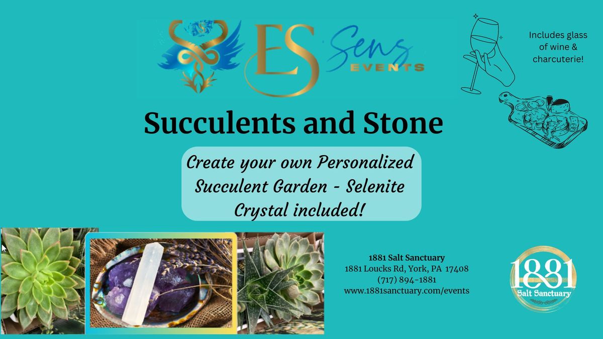 Succulents and Stone