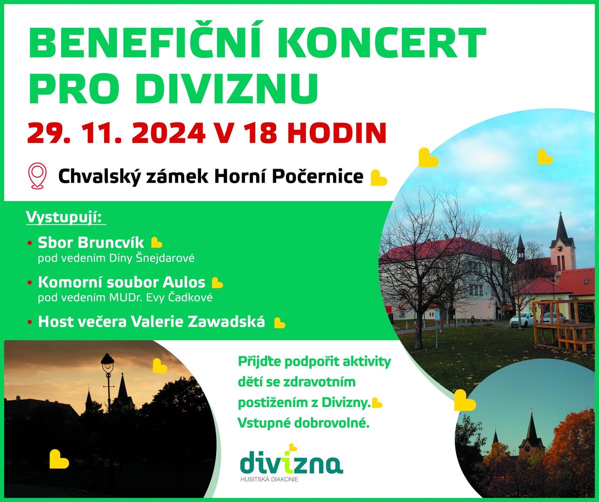 Benefi\u010dn\u00ed koncert pro Diviznu