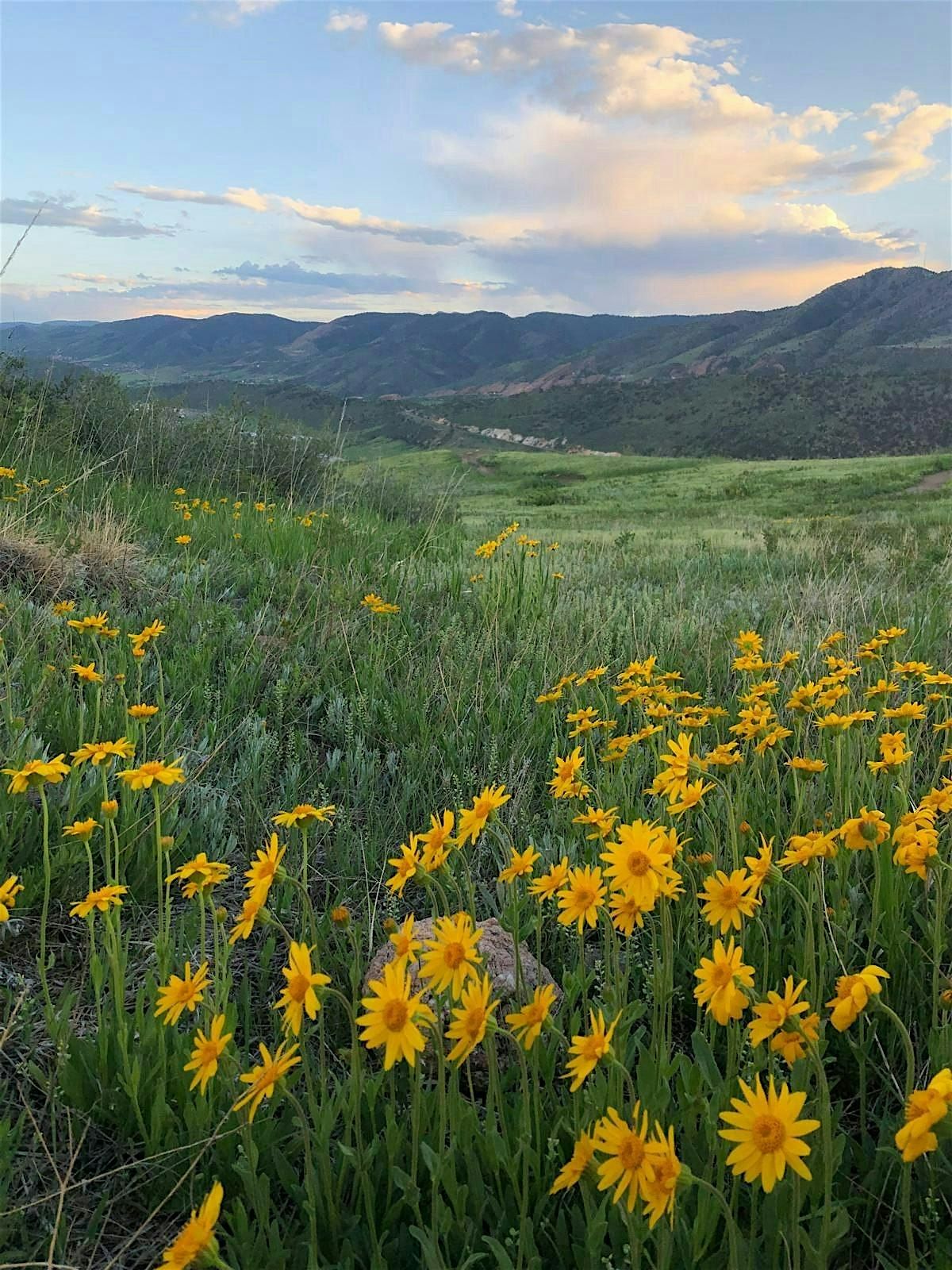 LO Colorado | Senderismo Social-Spanish Conversation Group