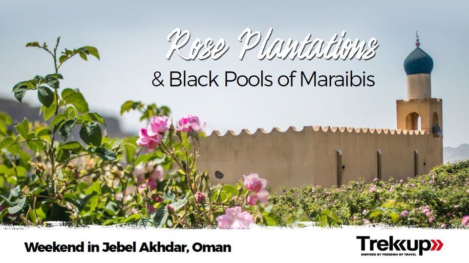 Rose Plantations & Black Pools of Maraibis | Jebel Akhdar, Oman