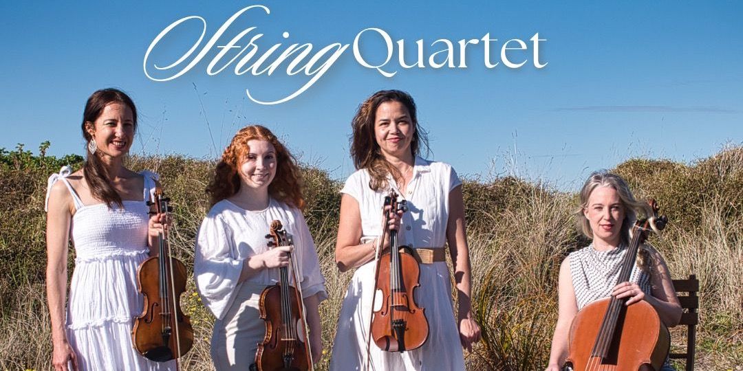 Folk and Fiddle Quartet