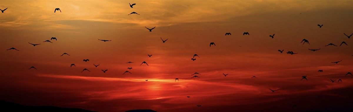 Lighten, Embody Freedom through Energy Practice