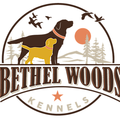 Bethel Woods Kennels