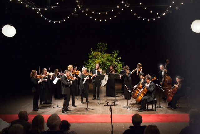 String Orchestra Concert (Santa Cruz)