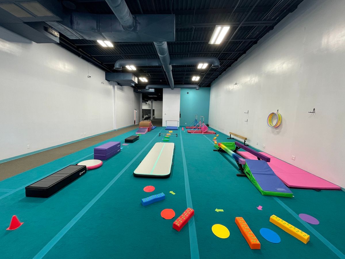 Monday Gymnastics Classes for Homeschools