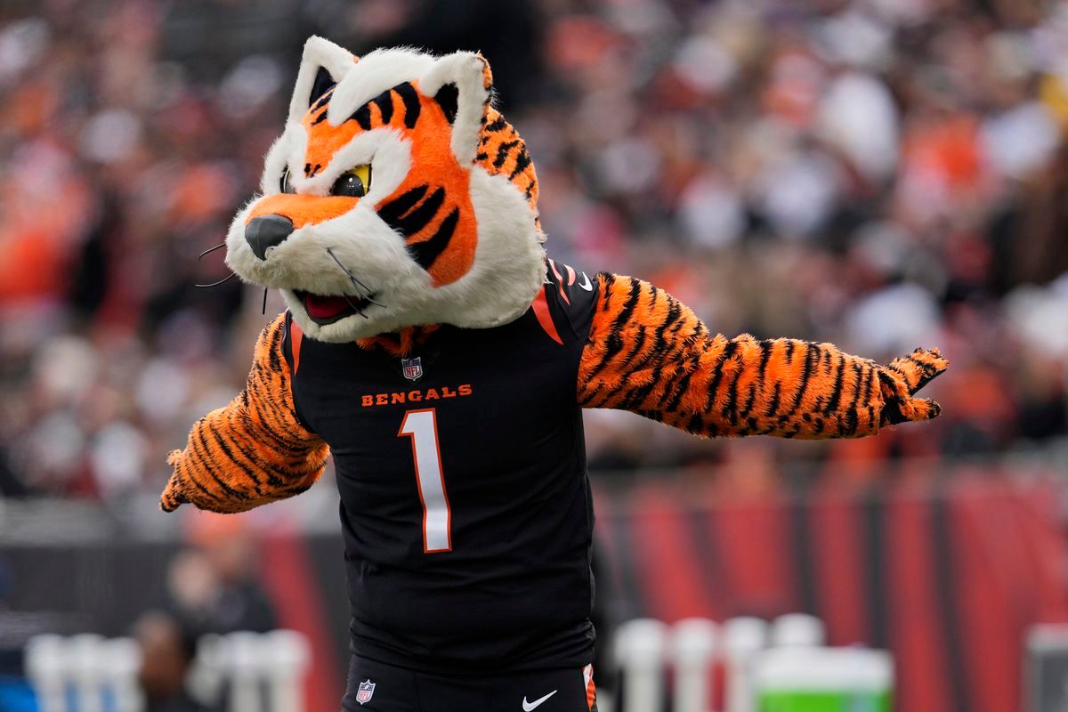 Minnesota Vikings vs. Cincinnati Bengals
