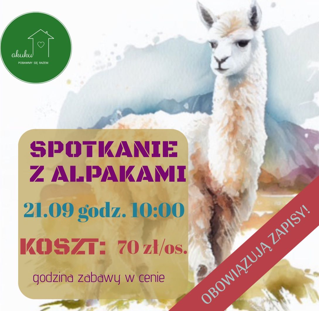 Spotkanie z ALPAKAMI \ud83e\udd99