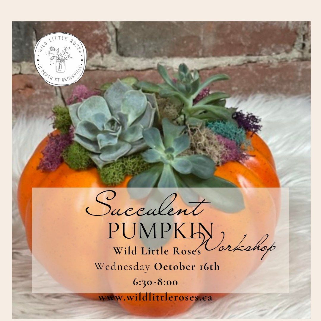 succulent pumpkin workshop 