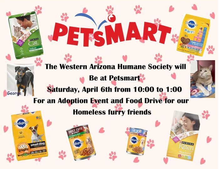 PetSmart Adoption Event 