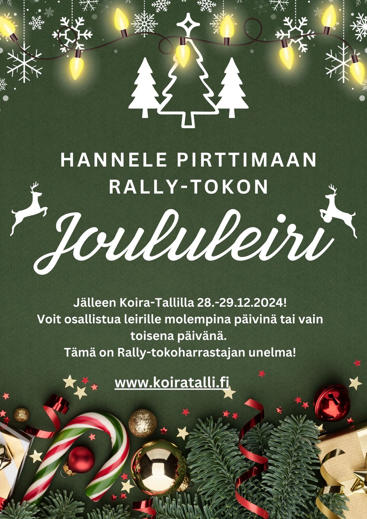 Hannele Pirttimaan Rally-tokon Joululeiri 28.-29.12.2024