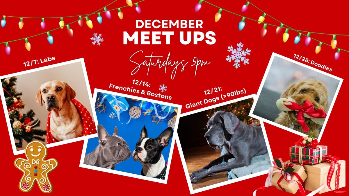 December Meet Ups