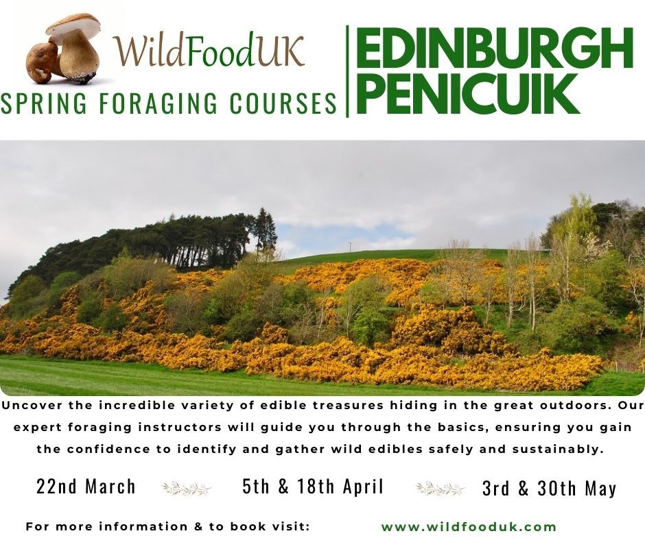 Edinburgh, Penicuik Foraging Course