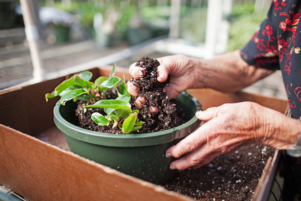 Roots Revealed:  Greenhouse Open House