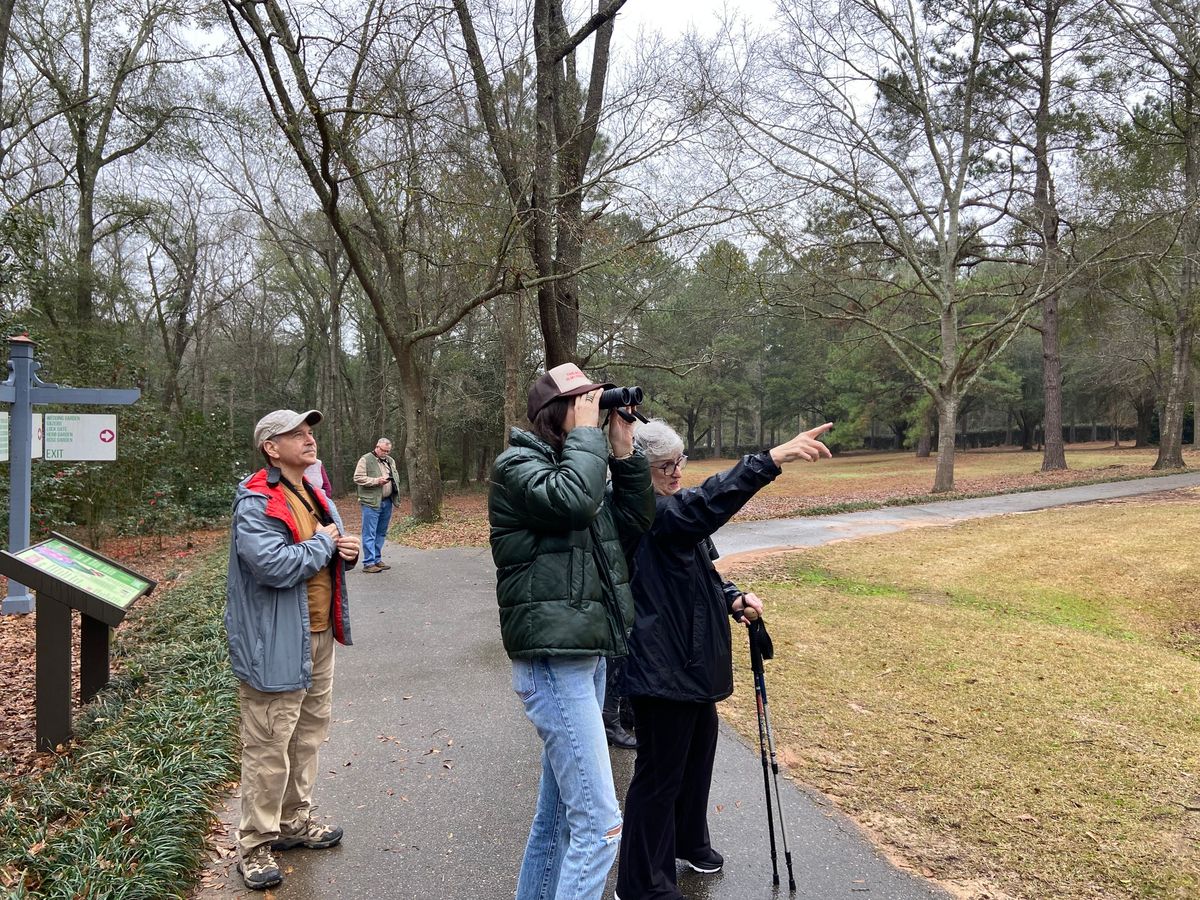 DABG's Great Backyard Bird Count