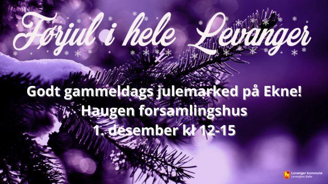 Godt gammeldags julemarked p\u00e5 Ekne