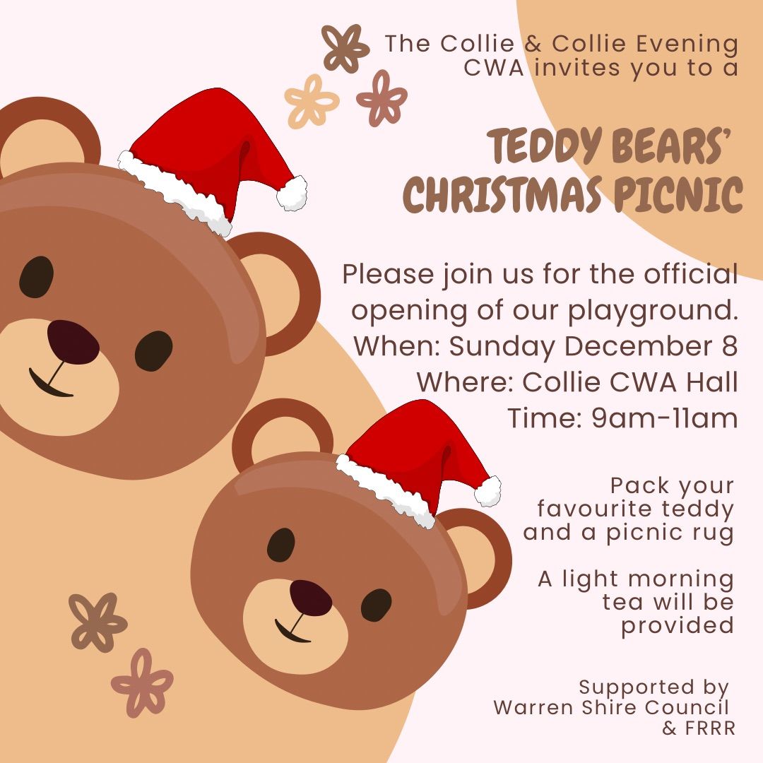 Teddy Bears' Christmas Picnic