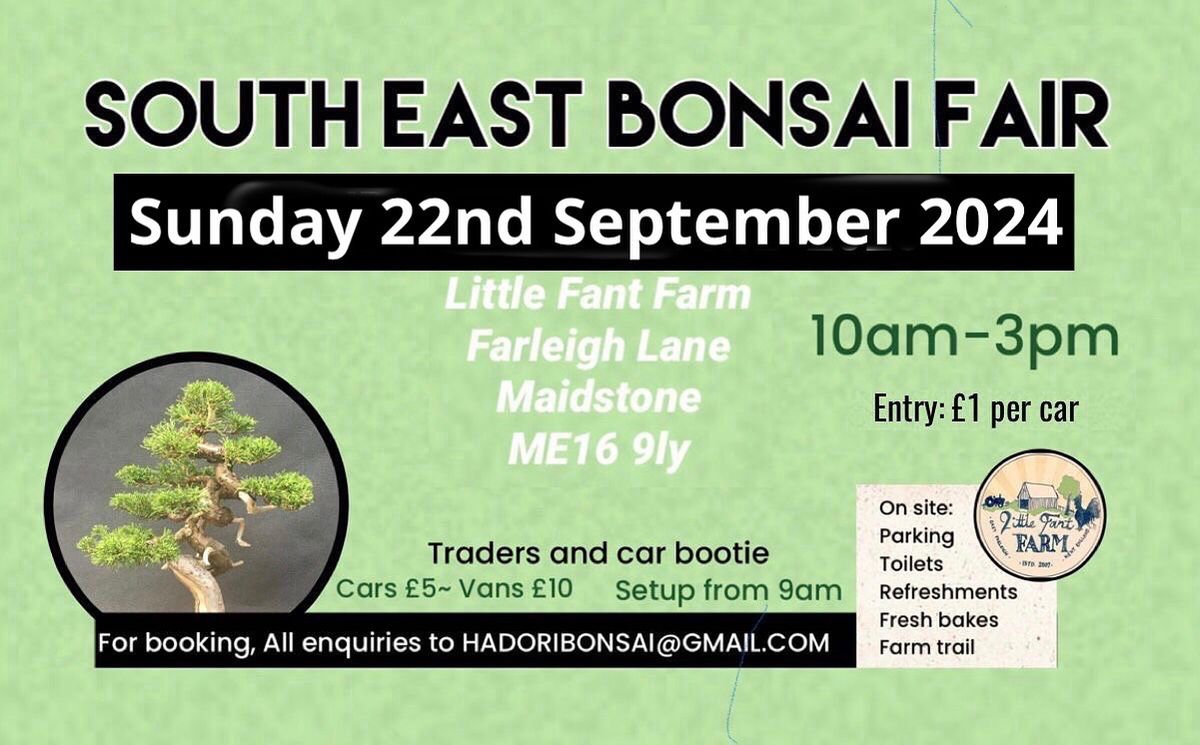 South east bonsai fair