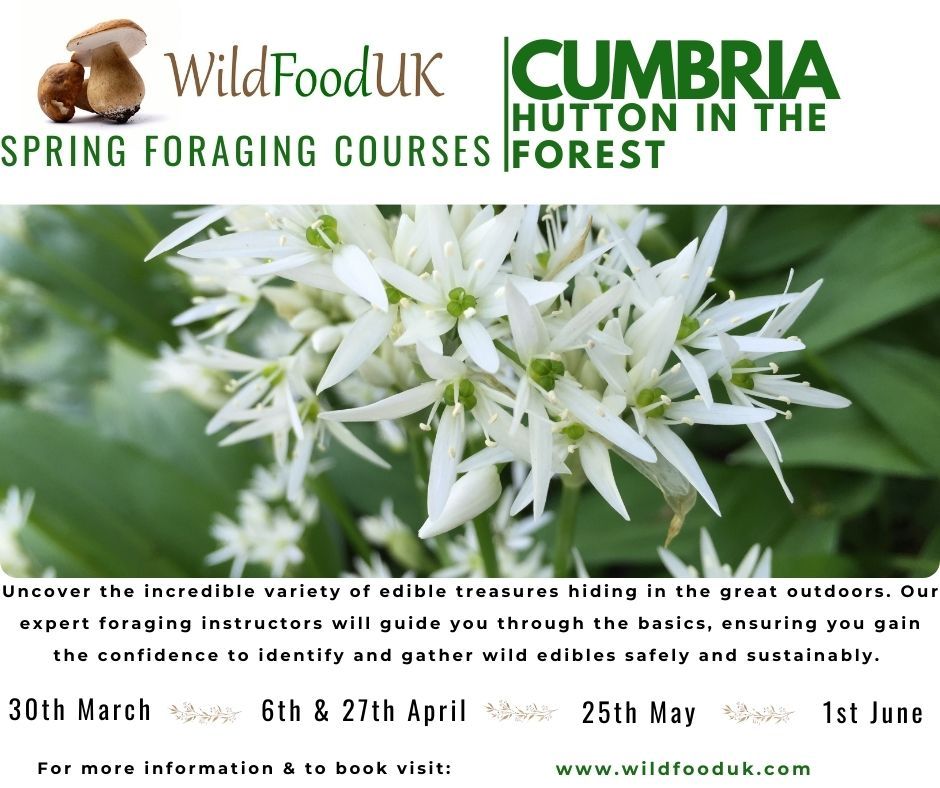 Cumbria, Hutton-in-the-Forest Spring Foraging Courses