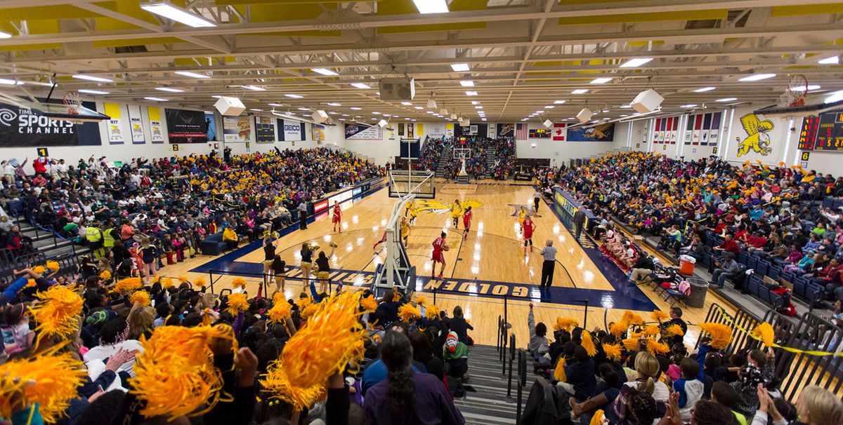 Parking Niagara Purple Eagles at Canisius Golden Griffins Mens Hockey