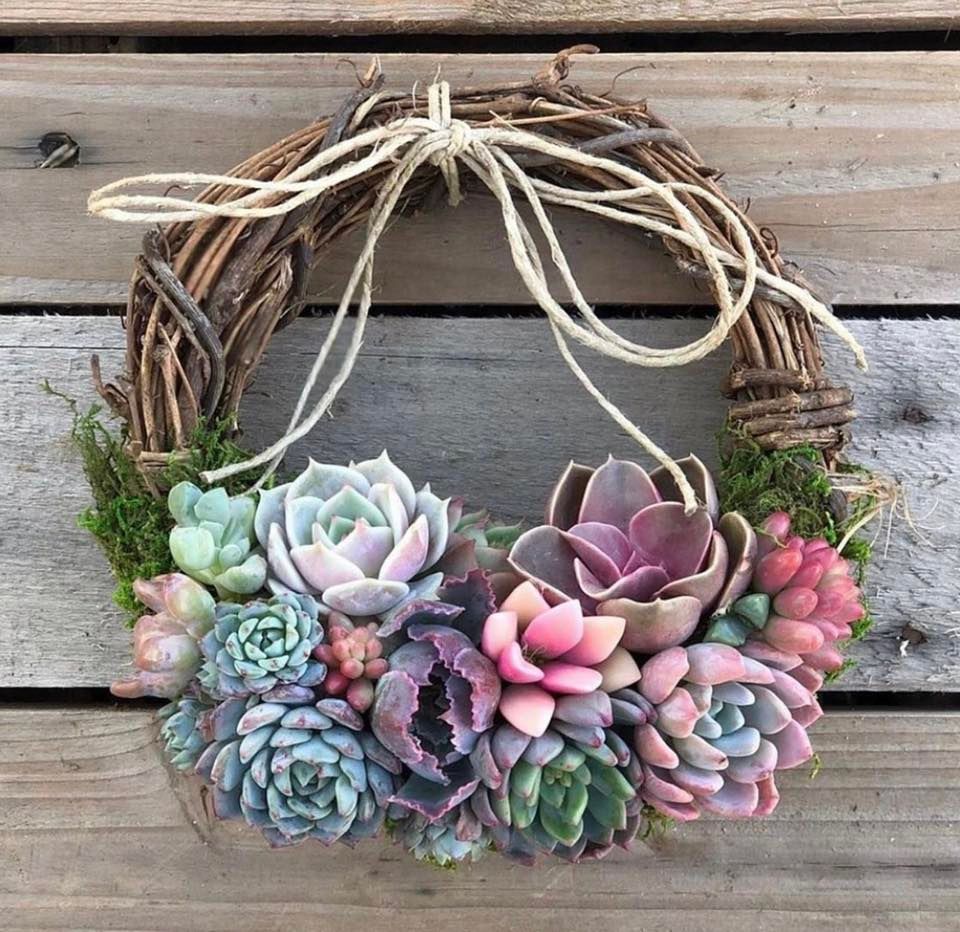 Succulent Wreath Workshop