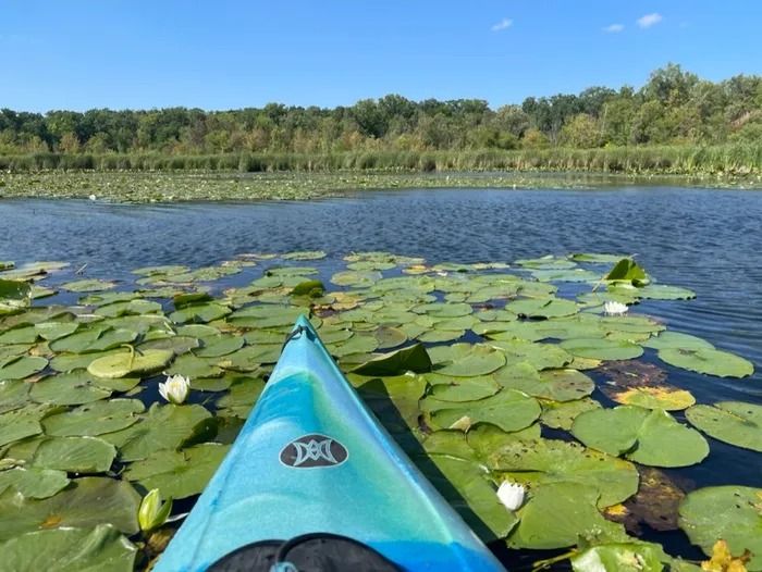 WMCKA Wednesday Paddle - Reed's Lake Again