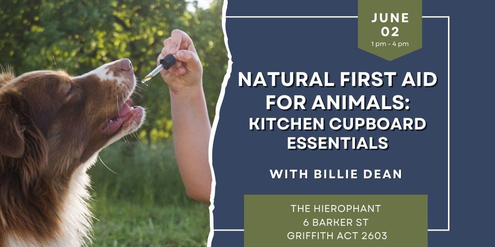 Natural First Aid for Animals: Kitchen Cupboard Essentials