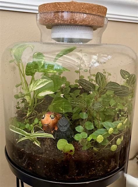 Terrarium Workshop