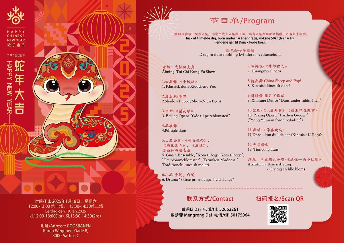 Chinese Lunar New Year Festival Show 2025 \ud83c\udf1f