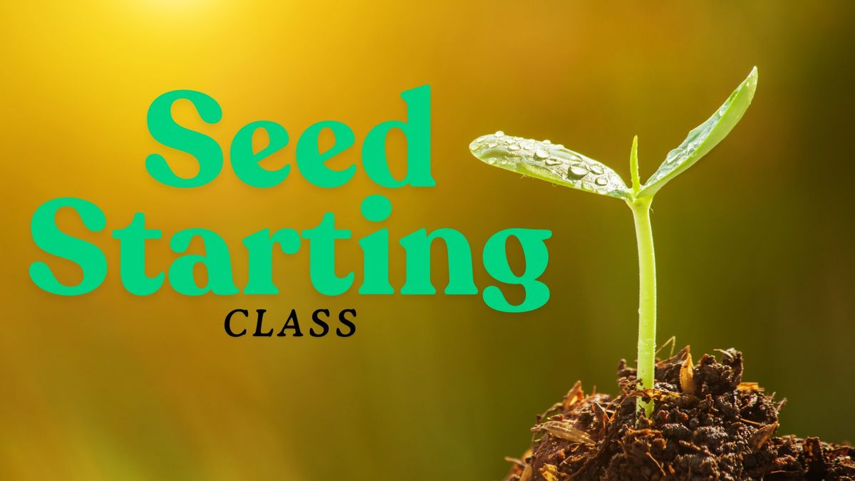 Seed Starting Class