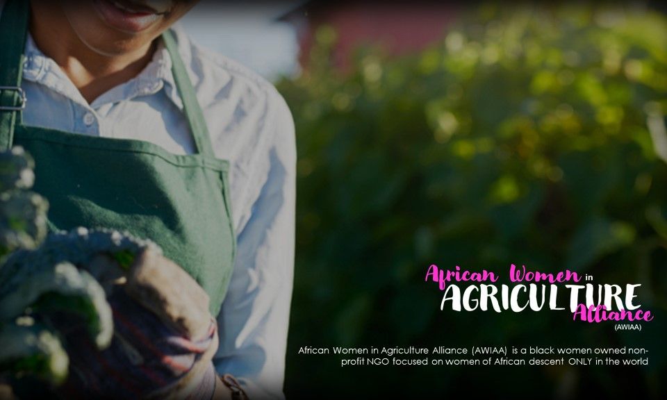 African Women in Agriculture Alliance Re-Launch