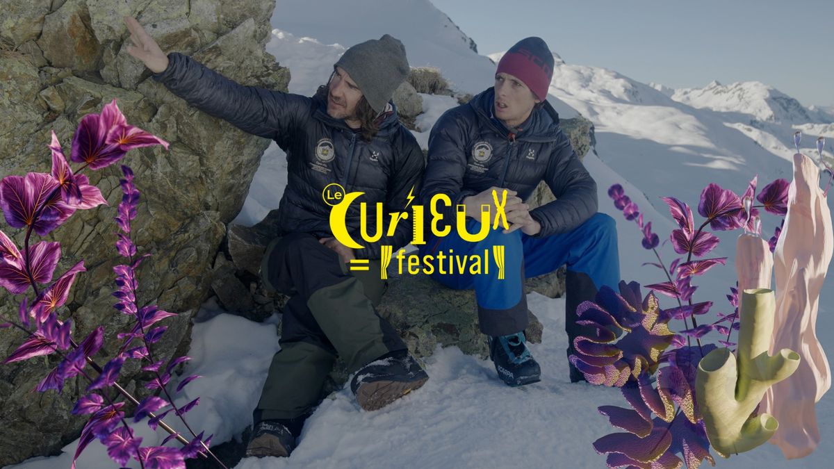 Rencontre et projection autour des glaciers - Le Curieux Festival 