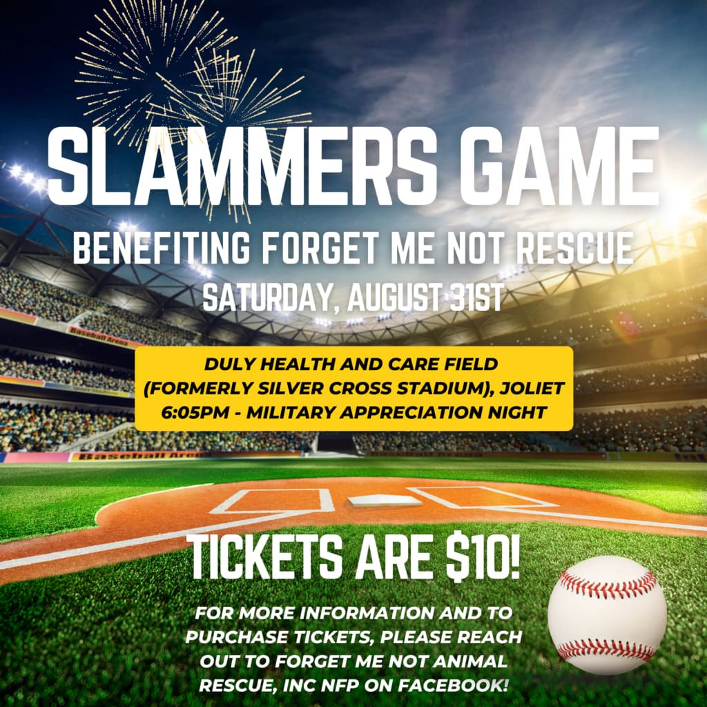 Slammers Game