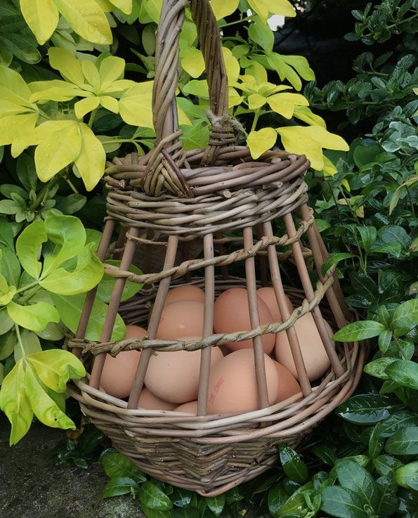 Traditional Egg Basket