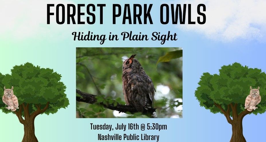 Owl Presentation - Forest Park Owls: Hiding in Plain Sight